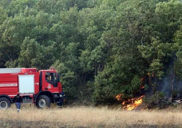 Πυρκαγιές σε Πλάτσα Μεσσηνίας και Παιανία - Μάχη με τις φλόγες σε Έβρο και Άνδρο
