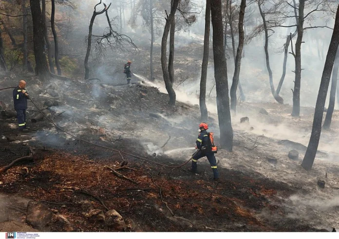 Υπό μερικό έλεγχο η φωτιά στη Σταμάτα - Προσαγωγή υπόπτου για εμπρησμό
