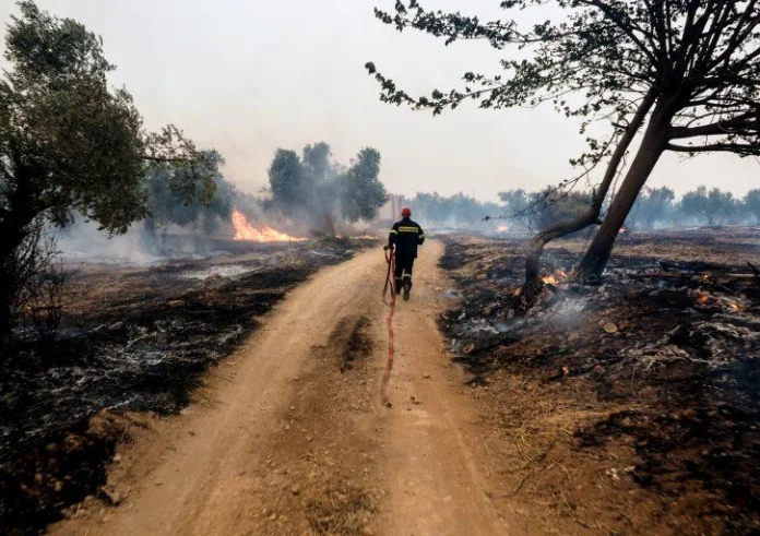 Φωτιά στη Βοιωτία: Απεγκλωβισμός 60 ατόμων από την παραλία Σαράντη