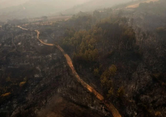 Στον Έβρο η μεγαλύτερη φωτιά της Ευρώπης - Ξεπερνά τα 800.000 στρέμματα η καμένη γη