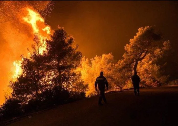 Φωτιά στην Αλεξανδρούπολη: Λύγισε αγρότης – Δεν έχει μείνει τίποτα