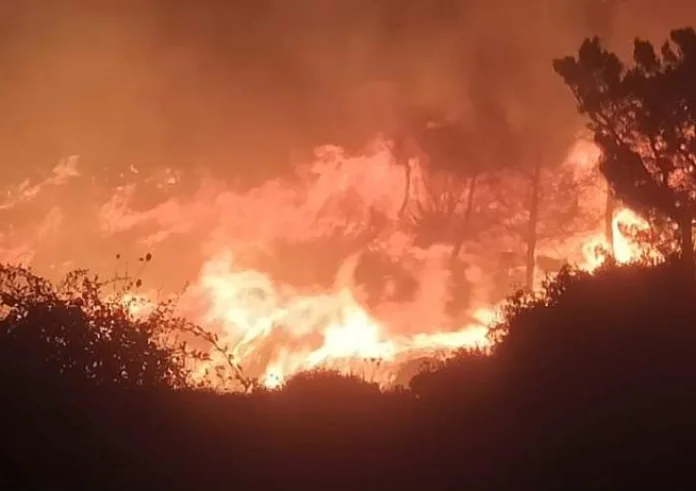 Φωτιά στη Ρόδο: Καίγονται σπίτια στο χωριό Λάερμα - Μηνύματα από το 112 για νέες εκκενώσεις