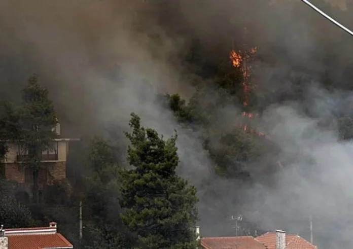 Φωτιά στη Σταμάτα: Στον Εισαγγελέα αύριο 45χρονος που κατηγορείται για εμπρησμό από αμέλεια