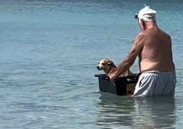 Ηλικιωμένος κάνει βαρκάδα τον σκύλο του