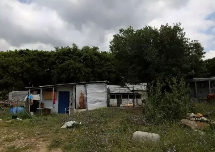 Καβάλα: Το dna θα ρίξει φως στο θάνατο της άτυχης κτηνοτρόφου -  Το ξέσπασμα του συζύγου της