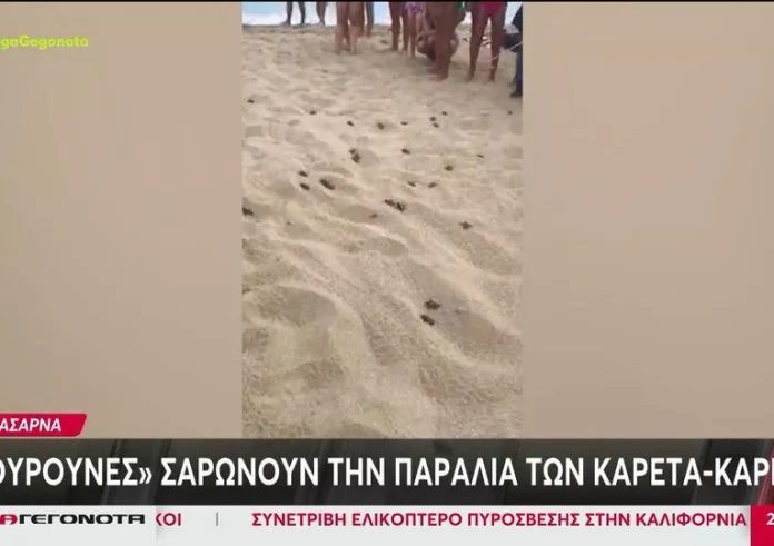 Kίνημα της πετσέτας: Ξαπλώστρες ακόμα και σε περιοχές NATURA