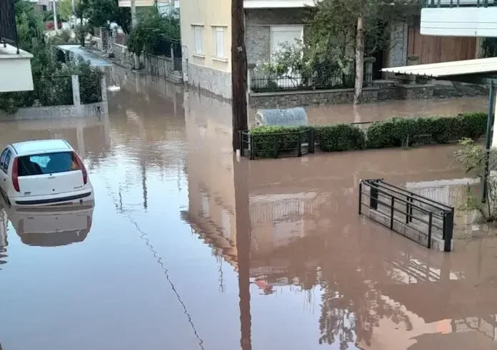 Λάρισα: Γεμάτη προβλήματα η περιοχή από τις πλημμύρες – Εννιά κρούσματα λεπτοσπείρωσης
