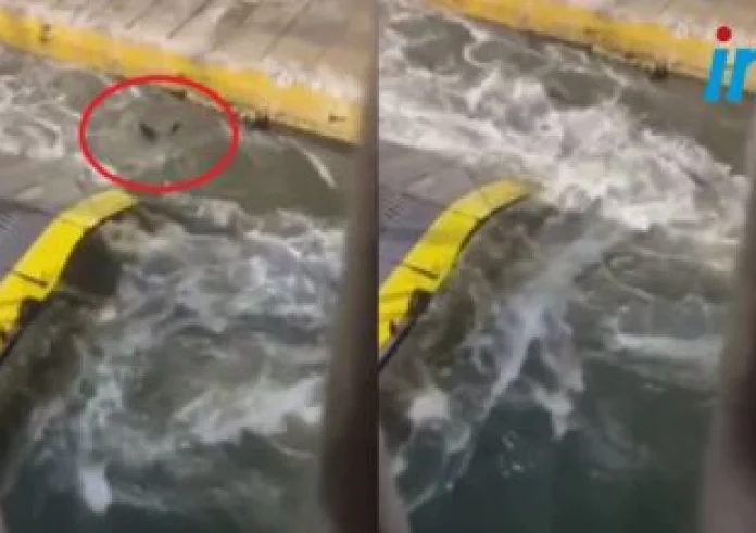 Λύτρας, για τον 36χρονο Αντώνη: Έχω πληροφορηθεί ότι θα ισχυριστούν ότι δεν τον έσπρωξαν