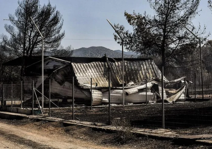 Φωτιά στο Λουτράκι: Εικόνα βιβλικής καταστροφής, λέει αντιπεριφερειάρχης – Κάηκαν 40 σπίτια