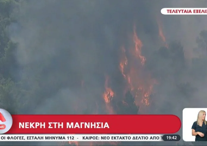 Φωτιά στη Μαγνησία: Νεκρή ηλικιωμένη - Εντοπίστηκε ο σύζυγός της