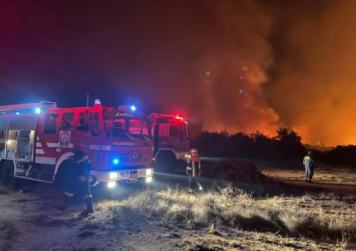 Ολονύχτια μάχη με τις φλόγες στον Μαραθώνα -Τέθηκε υπό μερικό έλεγχο