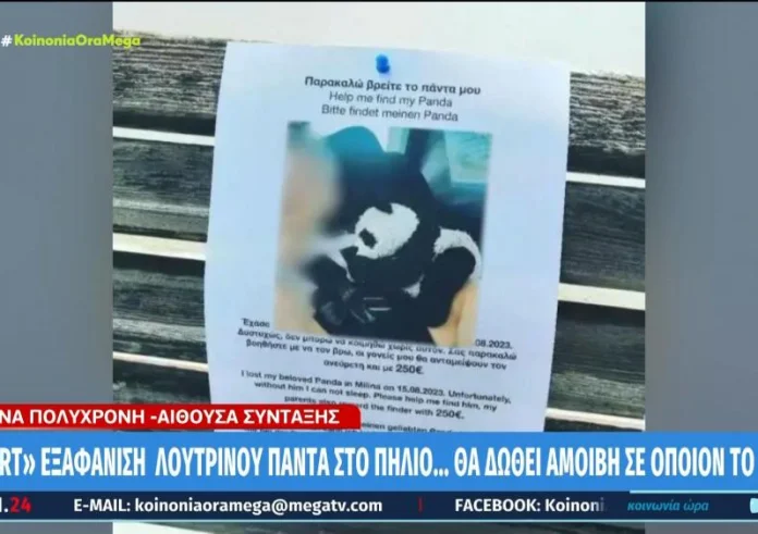 Παρακαλώ, βρείτε το πάντα μου. Δυστυχώς, δεν μπορώ να κοιμηθώ, χωρίς αυτόν
