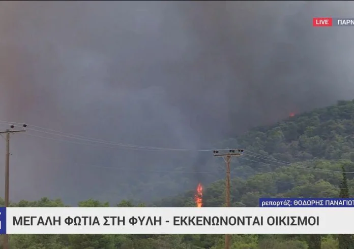 Ανεξέλεγκτη η φωτιά στη Φυλή: Νέο μήνυμα 112 στην περιοχή Πανόραμα – Απομακρυνθείτε προς Άνω Λιόσια