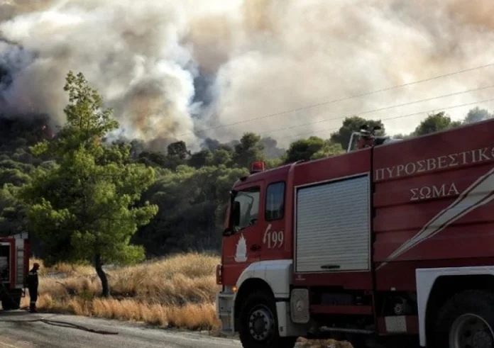 Νέα Μάκρη: Σύλληψη για εμπρησμό από πρόθεση σε δάσος του Αγίου Ανδρέα
