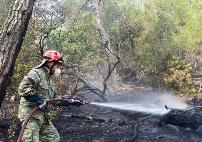 Μάχη με τη φωτιά στη Δαδιά για 8η μέρα – Συνεχείς οι αναζωπυρώσεις και στην Πάρνηθα
