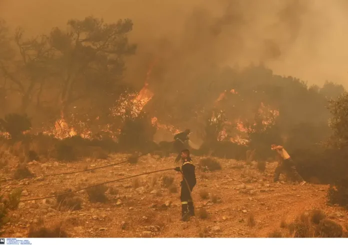 Καλό κουράγιο παλικάρια μου. Γειά σου αγόρι μου. Σας αγαπάω πολύ όλους