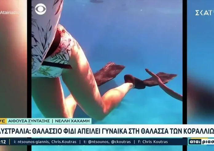Αυστραλία: Θαλάσσιο φίδι απειλεί γυναίκα στη Θάλασσα των Κοραλλίων