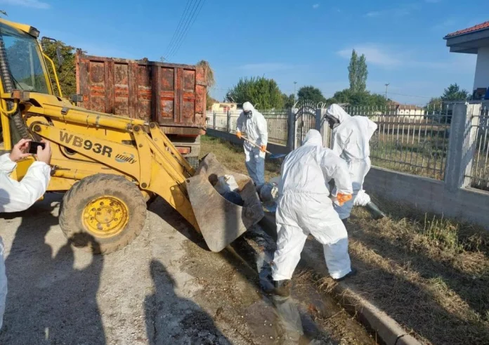 Θεσσαλία: Συνεχίζεται η αποκομιδή και ταφή νεκρών ζώων - Με ειδικές στολές και αυστηρές υγειονομικές διατάξεις