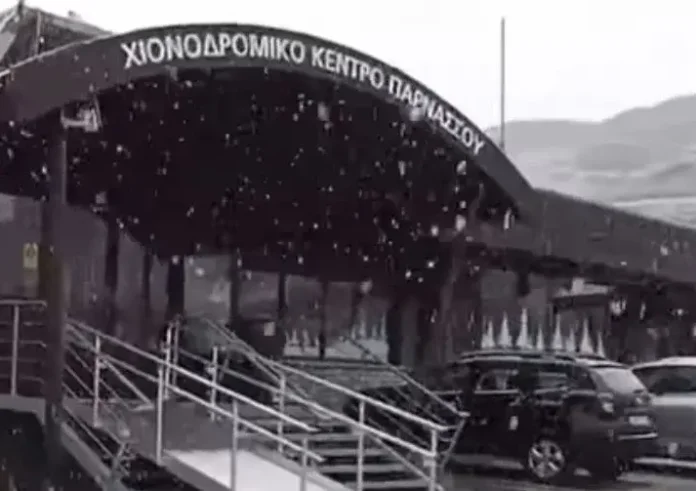 Έπεσαν τα πρώτα χιόνια στον Παρνασσό – Δείτε βίντεο