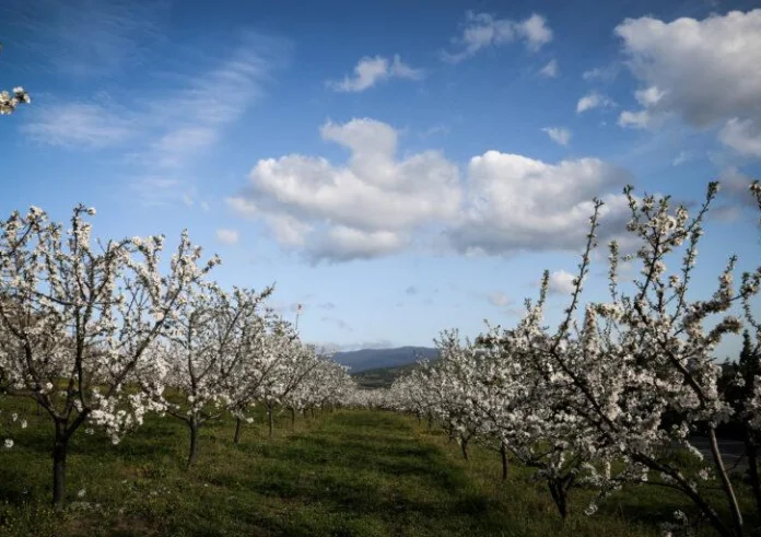 Σήμερα η εαρινή ισημερία στην Ελλάδα, αλλά όχι η ίση διάρκεια ημέρας και νύχτας – Ειδικοί εξηγούν το φαινόμενο