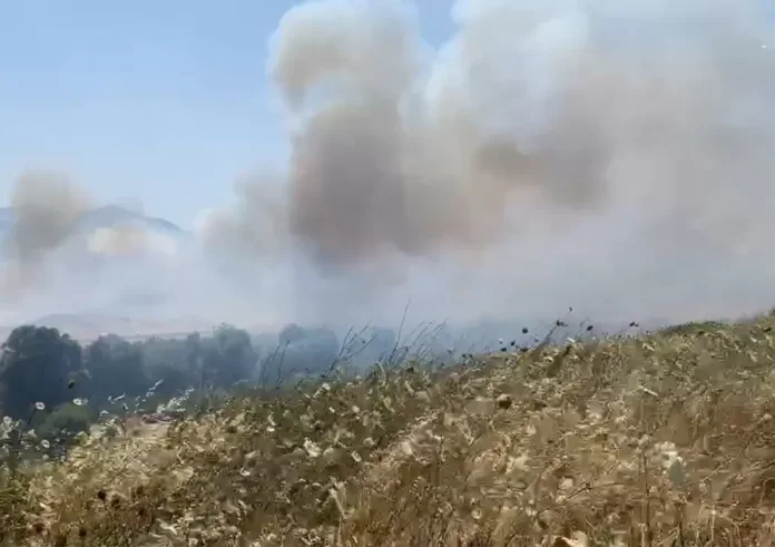 Φωτιά στη Μεγαλόπολη κοντά στο ορυχείο της ΔΕΗ – Ήχησε το 112, εκκενώνονται χωριά