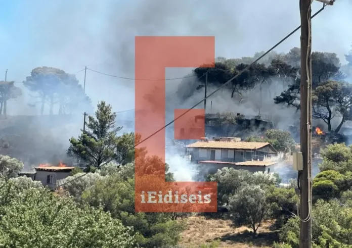 Κερατέα: Εκτός ελέγχου η φωτιά, κάηκαν σπίτια