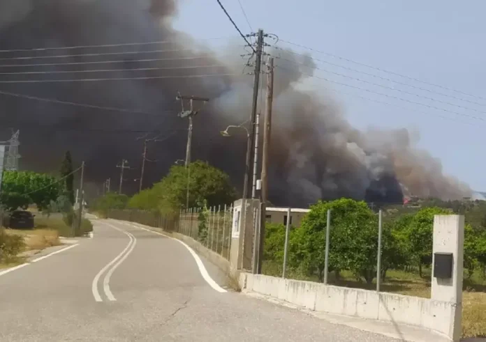 Φωτιά στη Ναυπακτία στην περιοχή Πλατανιτης, ήχησε το 112