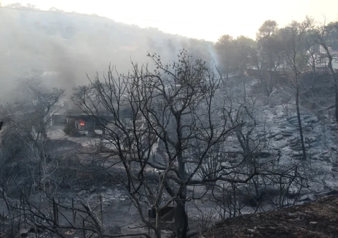 Φωτιές στην Τρίπολη: Συνελήφθη 44χρονη για εμπρησμό από πρόθεση και κατ’ εξακολούθηση