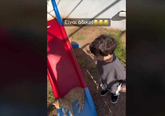 Tο viral παράπονο ενός πιτσιρικά για τη γάτα που του πήρε την τσουλήθρα: «Είναι άδικο!»