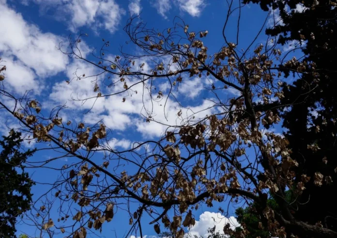 Καιρός: Μίνι παράταση στο καλοκαίρι με 31άρια – Σε ποιες περιοχές θα βρέξει