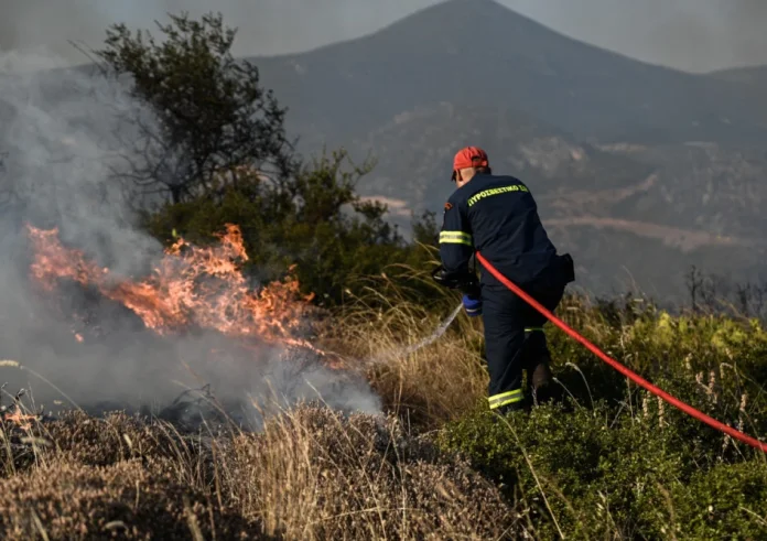 Φωτιά στους Μολάους Λακωνίας - Σηκώθηκαν και εναέρια μέσα