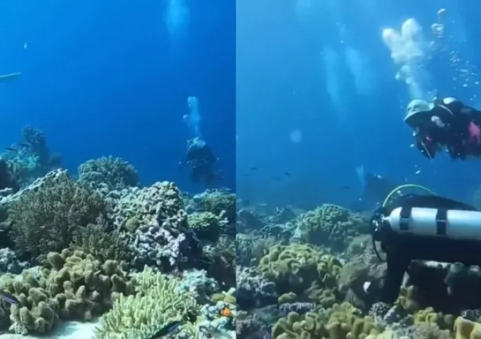 Τι συμβαίνει στον βυθό της θάλασσας όταν γίνεται σεισμός