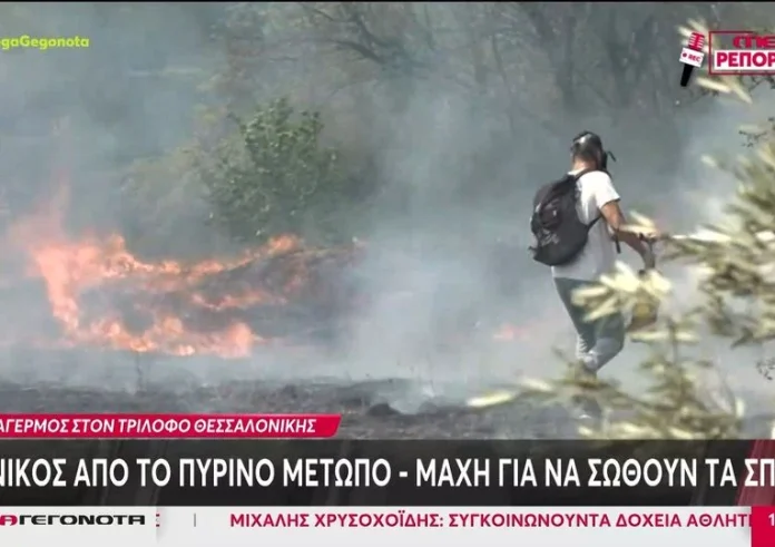 Στον επαρχιακό δρόμο έφτασε η πυρκαγιά στον Τρίλοφο Θεσσαλονίκης