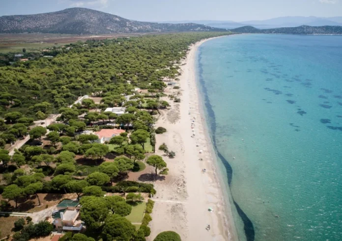 Πάρκο Σχινιά: Εισαγγελική παρέμβαση για τα αυθαίρετα