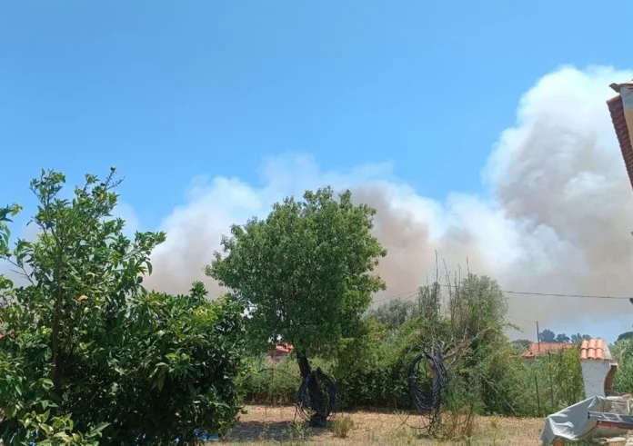 Μεγάλη φωτιά στο Μαραθώνα στην περιοχή Ριζάρι. Ήχησε το 112