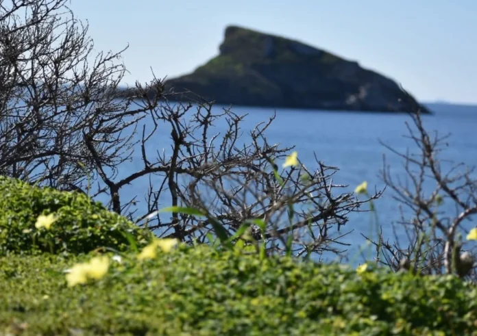 Καιρός: Η άνοιξη προσανατολίζεται να εγκατασταθεί στην Ελλάδα. Αναλυτική πρόγνωση έως το Σάββατο