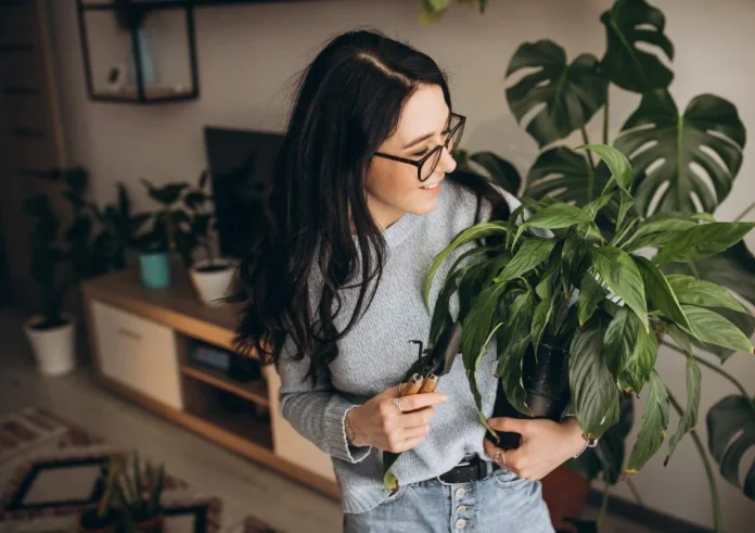 Καθαρή ατμόσφαιρα στο σπίτι: Τα 5 φυτά εσωτερικού χώρου που λειτουργούν ως φυσικά φίλτρα