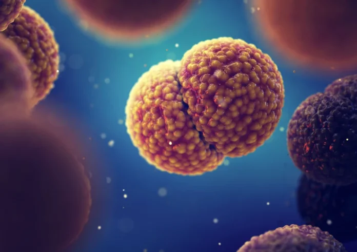 Συναγερμός στον Βόλο: Μαθητής με ιογενή μηνιγγίτιδα και κλείσιμο σχολικού γυμναστηρίου