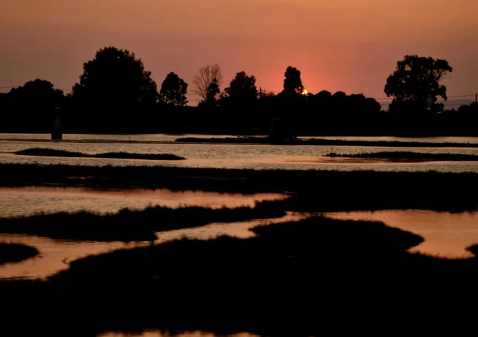 Καλοκαίρι 2026: «Σούπερ Ελ Νίνιο» και ακραίες θερμοκρασίες αναμένονται