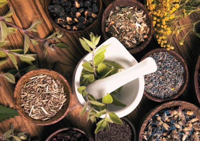 Φυσικές λύσεις για άγχος και στρες: Τα βότανα που μπορούν να σας βοηθήσουν