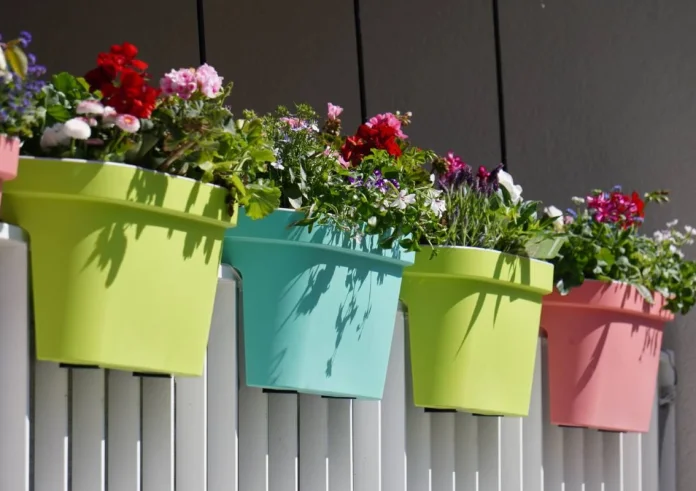 Μάρτιος στο μπαλκόνι: Τα 5 λουλούδια που πρέπει να φυτέψετε τώρα για να έχετε χρώμα όλο το Πάσχα