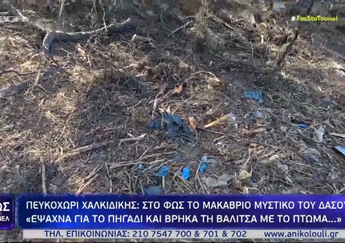 Μυστηριώδες εύρημα στη Χαλκιδική: Το «χέρι με τη βέρα» και οι αινιγματικές μαρτυρίες