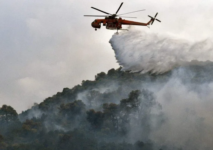 Πύρινο μέτωπο στην Ηλεία: Μεγάλη φωτιά στον Ελαιώνα – Στη μάχη εναέρια μέσα και ισχυρές δυνάμεις