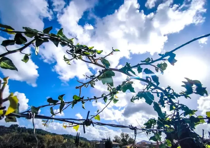 Καιρός: Γενικά αίθριος με μικρή άνοδο της θερμοκρασίας – Πότε επιστρέφουν οι βροχές