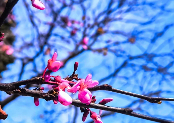 Ο Καιρός το Πάσχα 2026: Η πρώτη εκτίμηση για τη Μεγάλη Εβδομάδα – Μεταξύ καύσωνα και βροχών