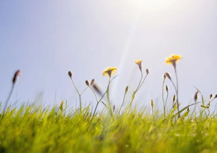 Ο καιρός τον Μάρτιο με την υπογραφή του Σάκη Αρναούτογλου: Ανοιξιάτικο σκηνικό με 'παγίδες' ψύχρας και τοπικές μπόρες