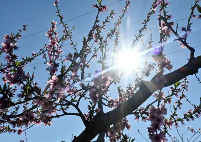 Προειδοποίηση Κολυδά: Ο χειμώνας επιστρέφει – Σταδιακή πτώση θερμοκρασίας και οργανωμένο σύστημα