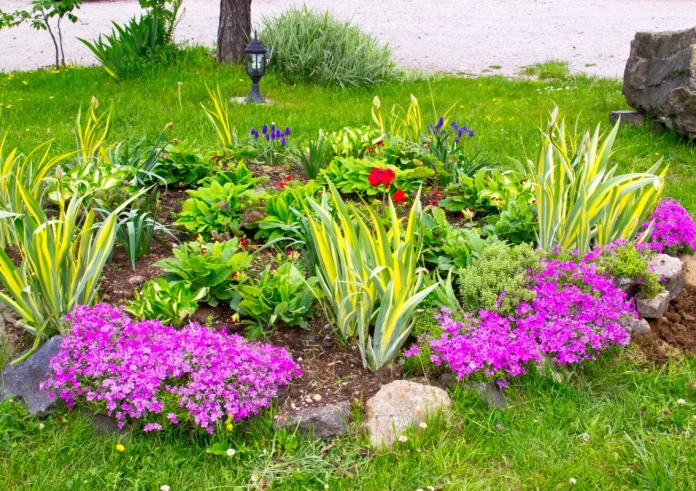 Το μυστικό των ειδικών για να ανθίζει ο κήπος σας όλο το χρόνο: Η μέθοδος που παραβλέπετε