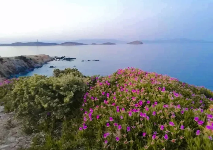 Από τα χιόνια στην Άνοιξη: Τι καιρό θα έχουμε σήμερα και τις επόμενες ημέρες