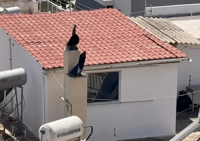 Το δώμα των 27 τ.μ. και τα έξι παιδιά που ζούσαν σε ακαθαρσίες στο Περιστέρι